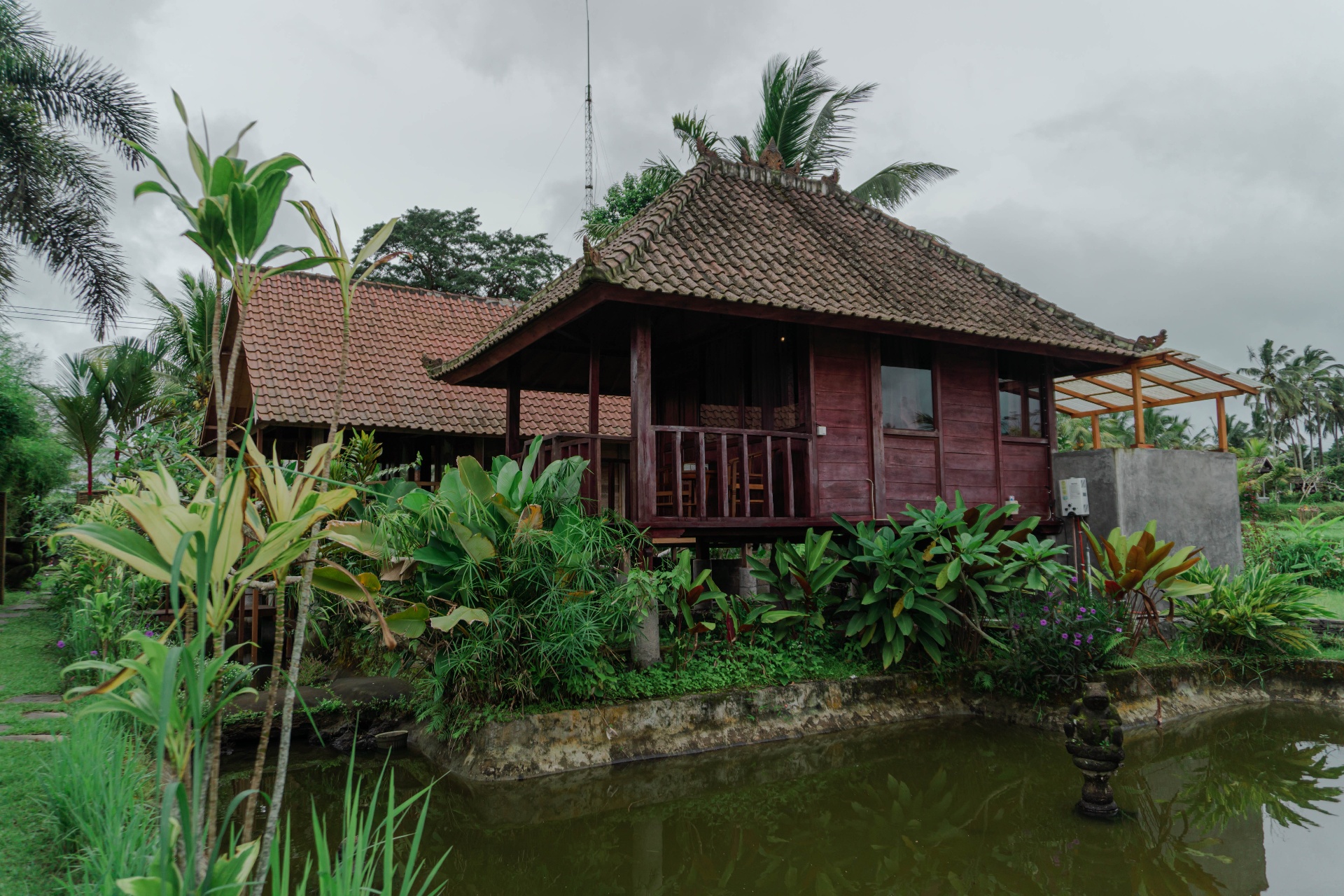 Classic Wooden Room — Garden Pond View